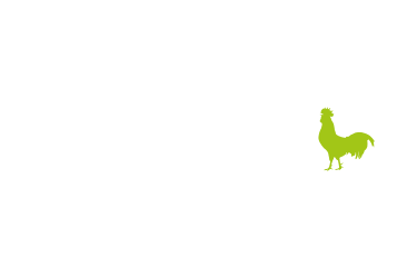 ascreation